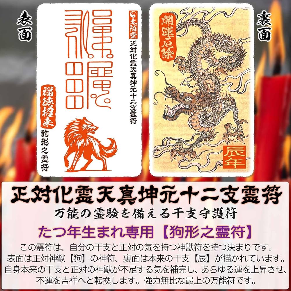 守護数霊術 Amazon.co.jp: 大運をつかむ干支守護符【正対化霊天真坤元十二支